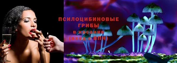 спиды Белокуриха