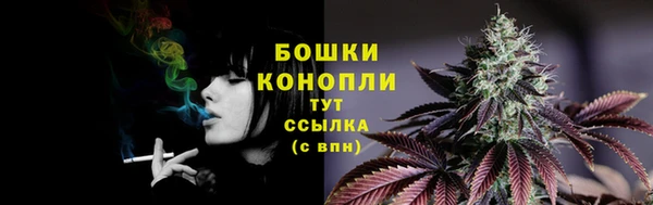 спиды Белокуриха