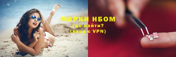 соль ск Пересвет